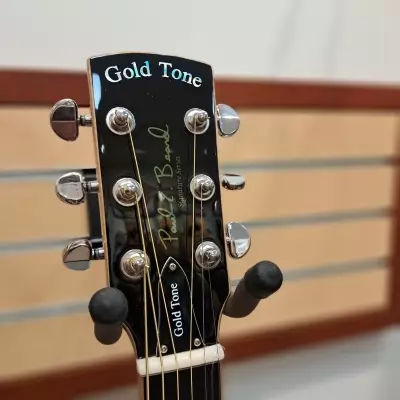 Store Special Product - Gold TonePaul Beard Resonator